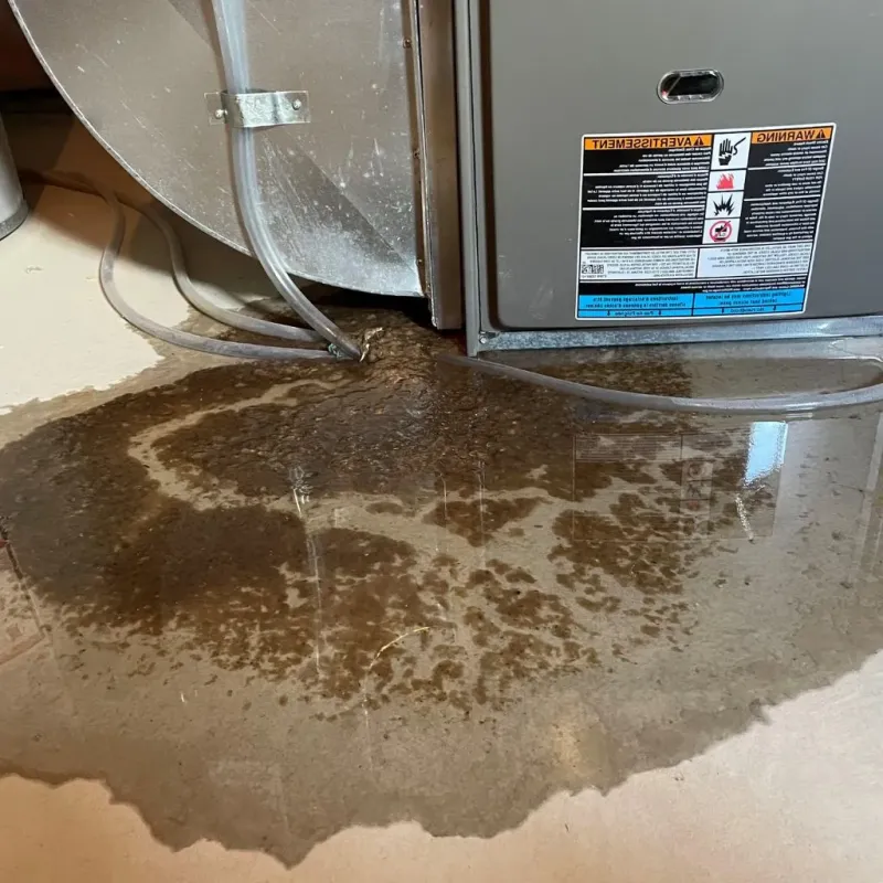Pipe Burst and Leak Restoration in Beechwood Trails, OH